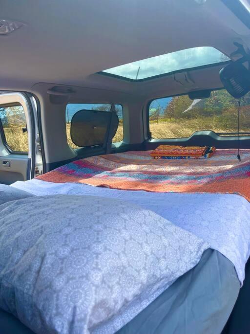 Campervan/Maui Hosted By Go Camp Maui Kihei Luaran gambar
