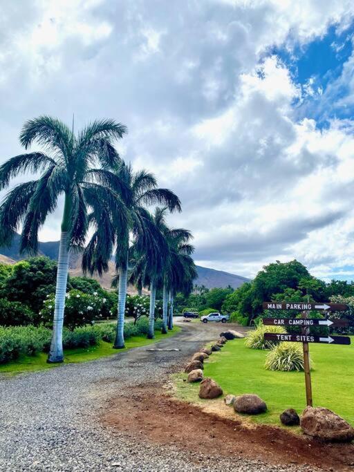 Campervan/Maui Hosted By Go Camp Maui Kihei Luaran gambar